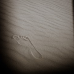 Footprints in thedust.
